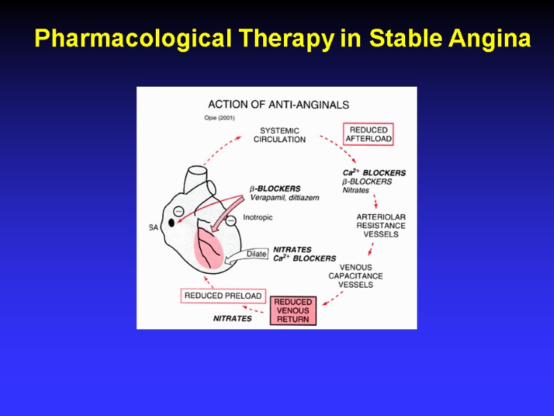 Pharmacological Therapy in Stable Angina